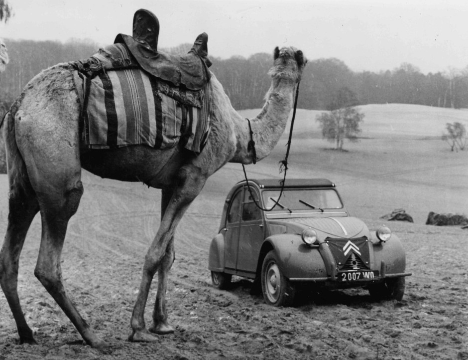 Bildergalerie Bildergalerie Die Ente wird 70 Bild 5 von 10 FAZ Bildergalerie Bildergalerie Die Ente wird 70 Bild 5 von 10 FAZ