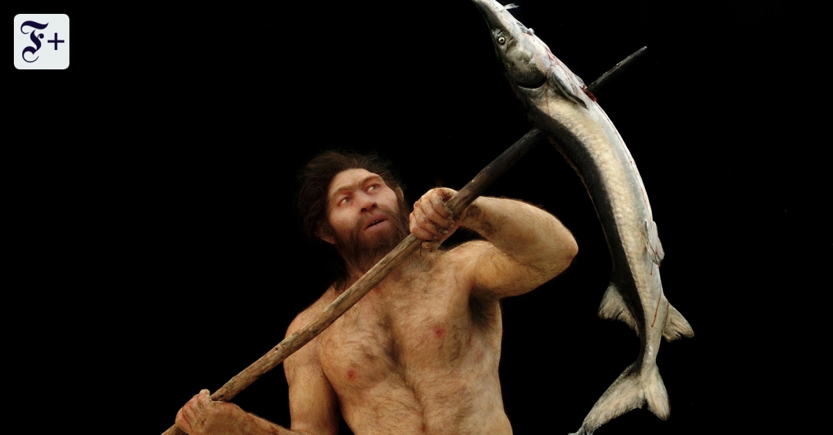 Wie Frühmenschen und Orang-Utans sich ernährten