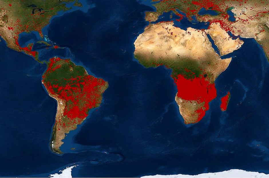 Bild zu: Nasa-Satellitenbild: Mehr Waldbrände in Afrika ...