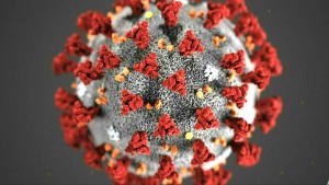 Wegen Coronavirus abgesagt oder verschoben