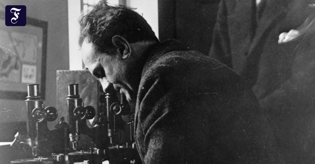 Fall Paul Kammerer Entlastung für den Krötenfälscher