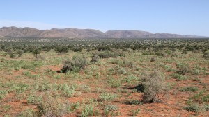 Namibia zweifelt und träumt von grüner Energie