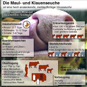 Bilderstrecke zu: Großbritannien: Neuer Fall von Maul- und Klauenseuche ...