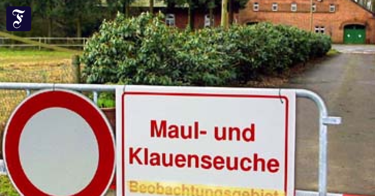 Maul- und Klauenseuche: „Sie kommt auch nach Deutschland ...
