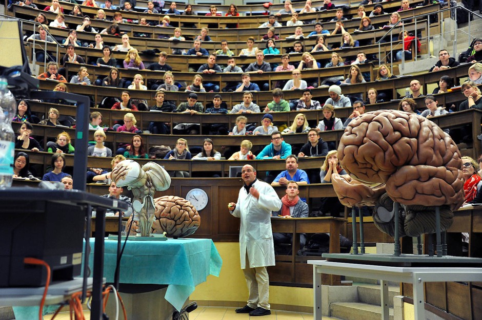 Medizinstudium: Sieben Jahre warten auf den Studienplatz