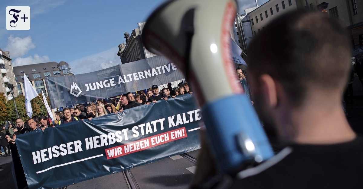 Junge Alternative verbieten Teil der AfD oder bloßer Verein?