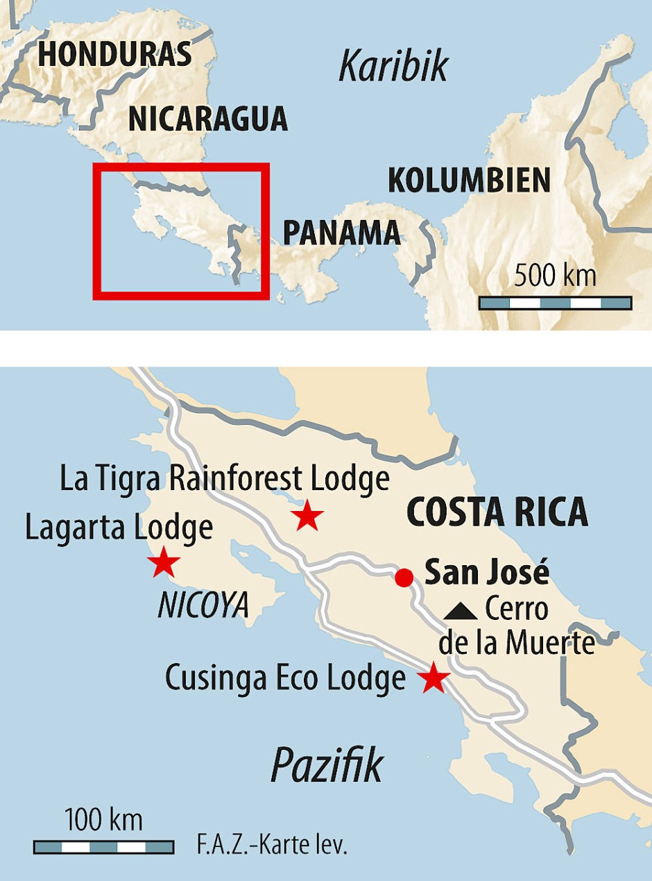 Bilderstrecke zu: Ökotourismus in Costa Rica - Bild 9 von 9 - FAZ