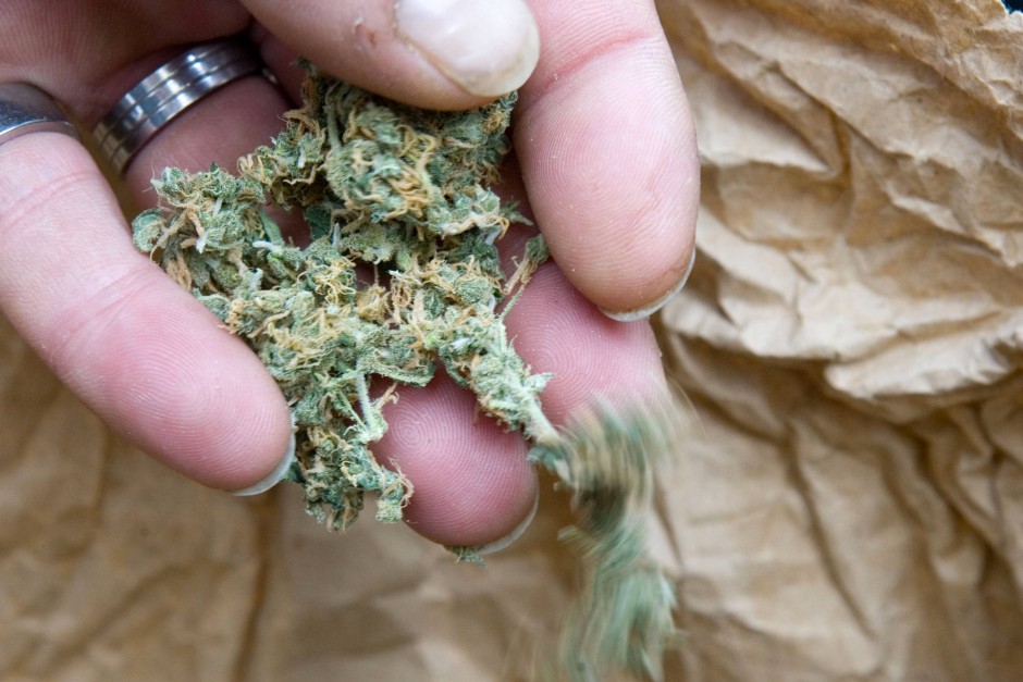 Bild zu CannabisSamen im Netz bestellt Dealer erwischt Bild 1 von 1 FAZ