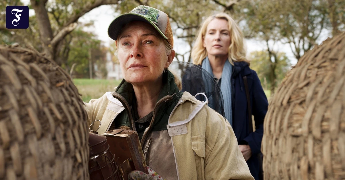„Tatort“ aus Hannover: Kommissarin Lindholm ist wieder solo