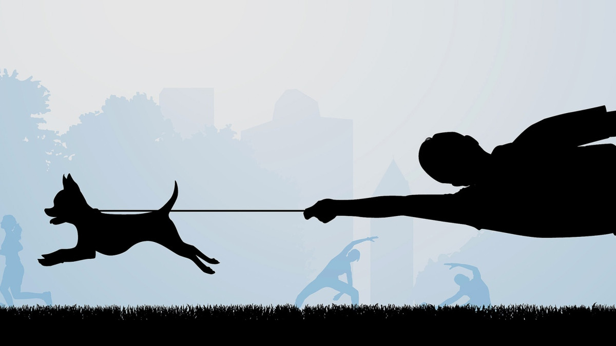 Rücksichtslose Hundehalter: Wenn Rücksicht an der langen Leine hängt