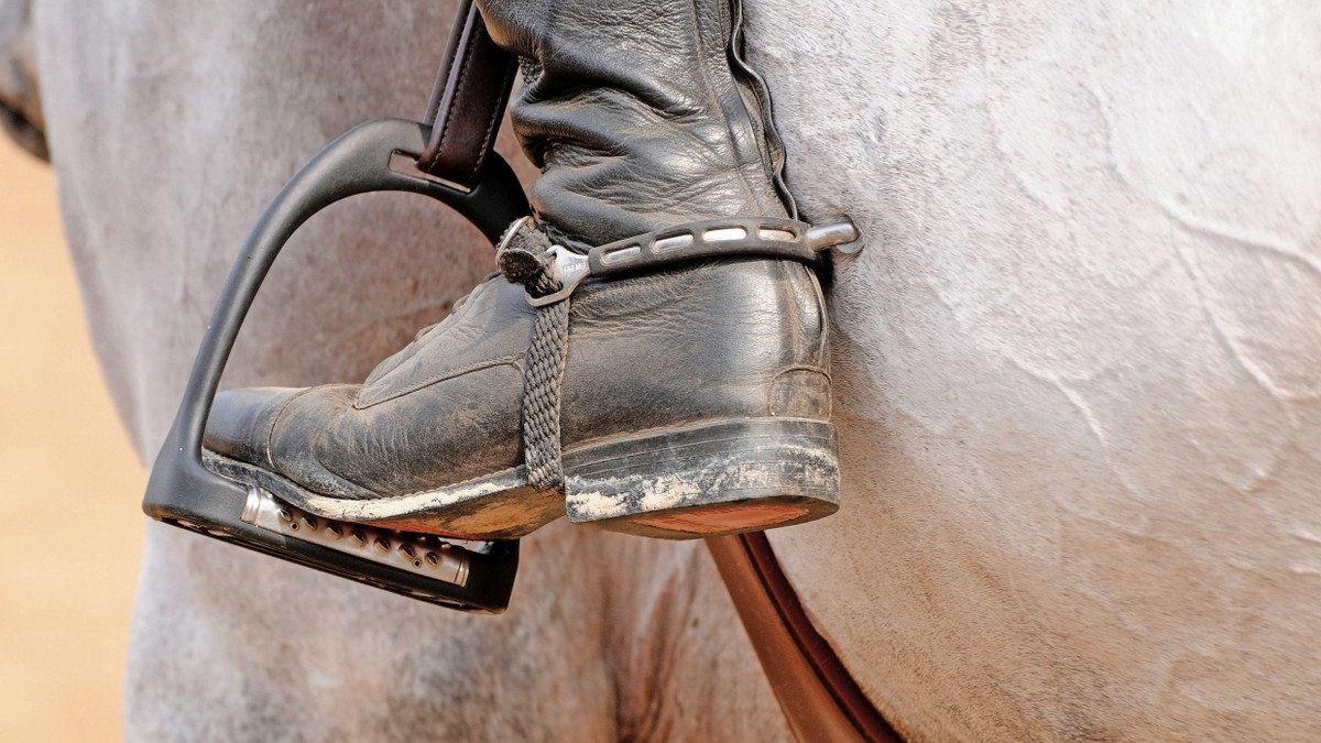 Tierwohl im Reiten: Warum der Pferdesport über die „Blutregel“ streitet