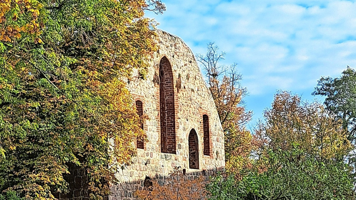Alte Gemäuer hinter altem Baumbestand: Brandenburg. - Ulrike Wiebrecht