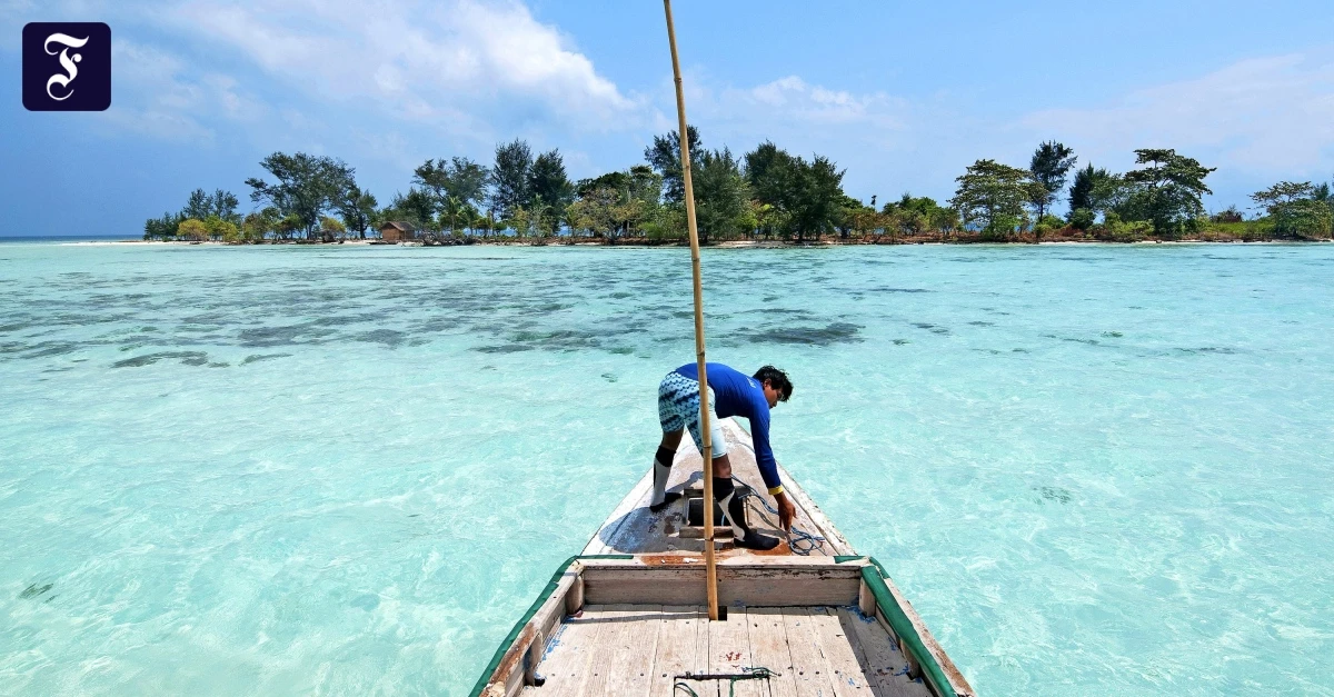 Karimunjawa-auf-Indonesien-Wenn-das-Paradies-zur-H-lle-wird