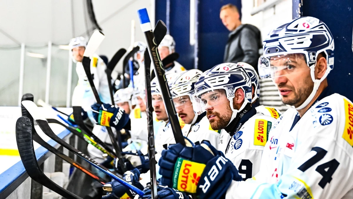 Die Dresdner Eislöwen - picture alliance / Eibner-Pressefoto