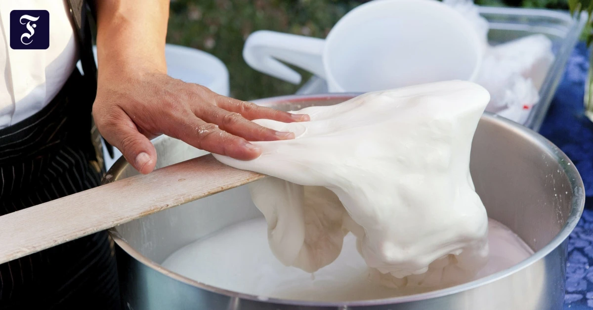 Biotech-Lebensmittel-K-se-ohne-K-he-zu-melken