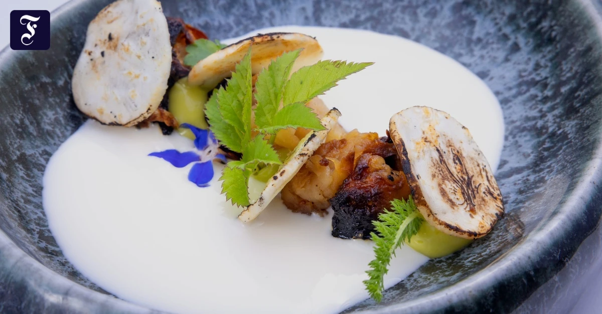 Vegane-Sahne-im-Test-Schmeckt-voll-nach-echter-Schlagsahne-