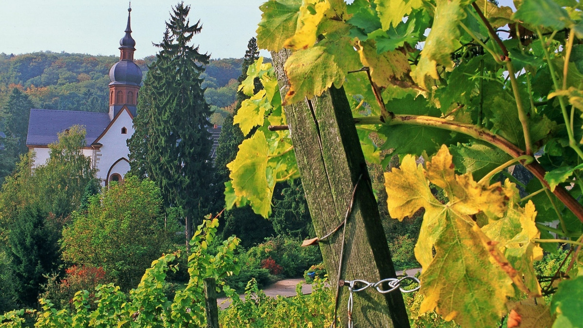 Etappenziel: An Kloster Eberbach führt auf der Rheingau-Radler-Route kein Weg vorbei. - LAIF