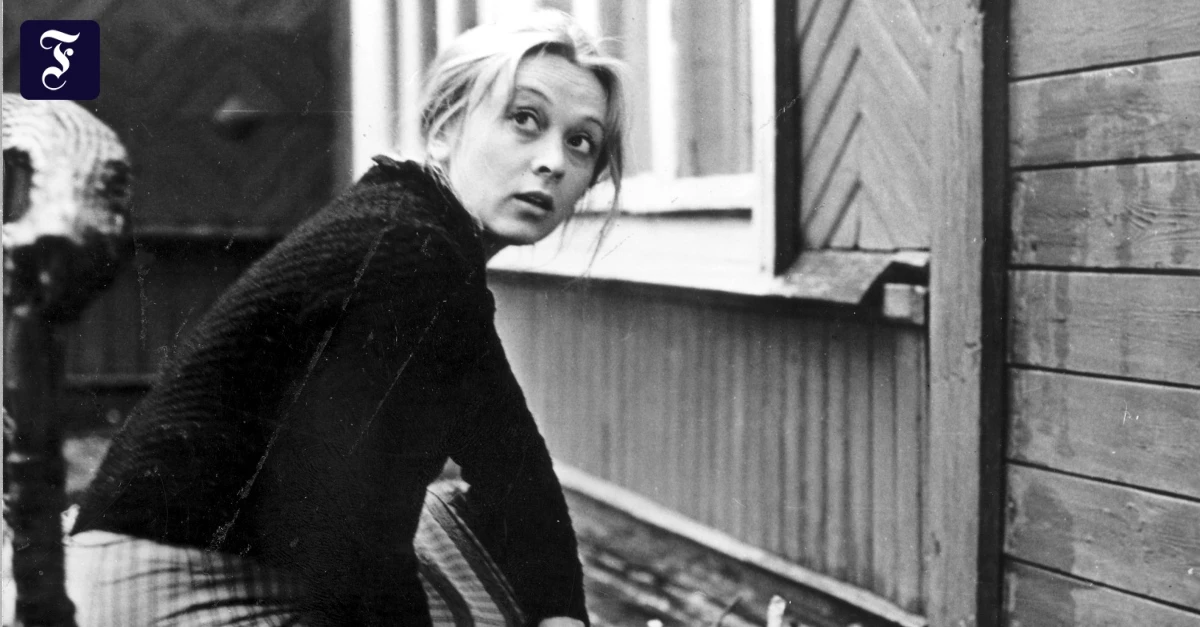 Filmklassiker-Der-Spiegel-Unsterblich-alle-unsterblich-alles