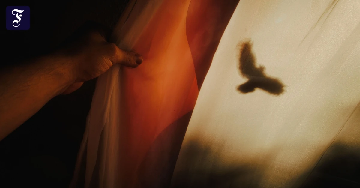 Junge Fotografie: Home, Heimat, Zuhause – Homes