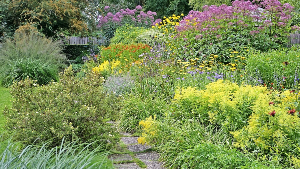 Den 30 Meter langen „Alten Versuchsgarten“ legte Mien Ruys 1927 als Experimentierfeld für Sonnenstauden an. Er steht inzwischen unter Denkmalschutz. - Jens Haentzschel