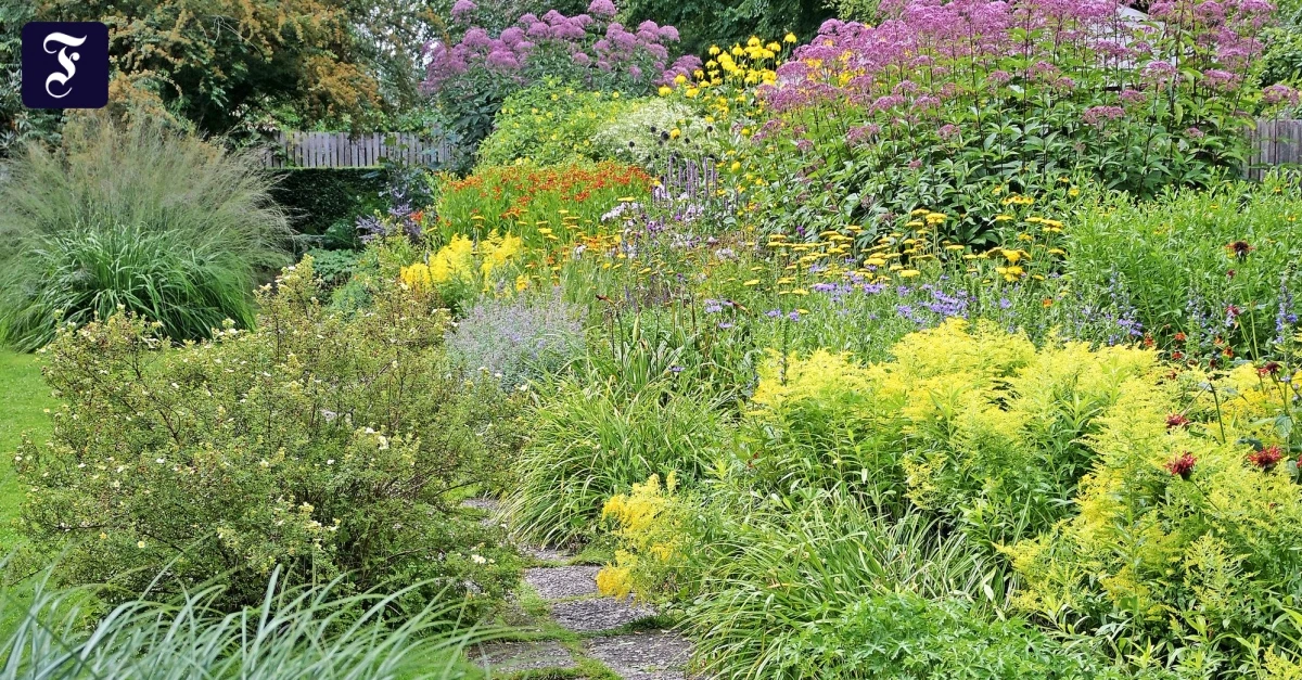 Gartenbau: Nachahmung erwünscht: Gärtnern wie Mien Ruys