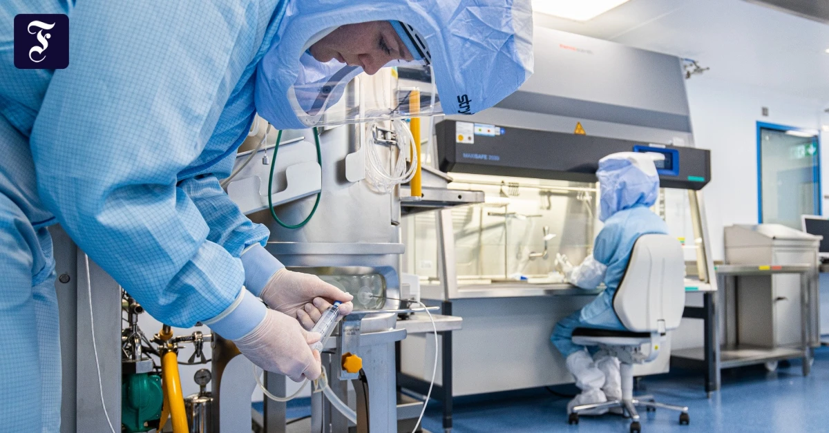 Europ-ischer-Forschungsrat-Ein-Bollwerk-gegen-die-Exzellenz-Chinas-und-der-USA