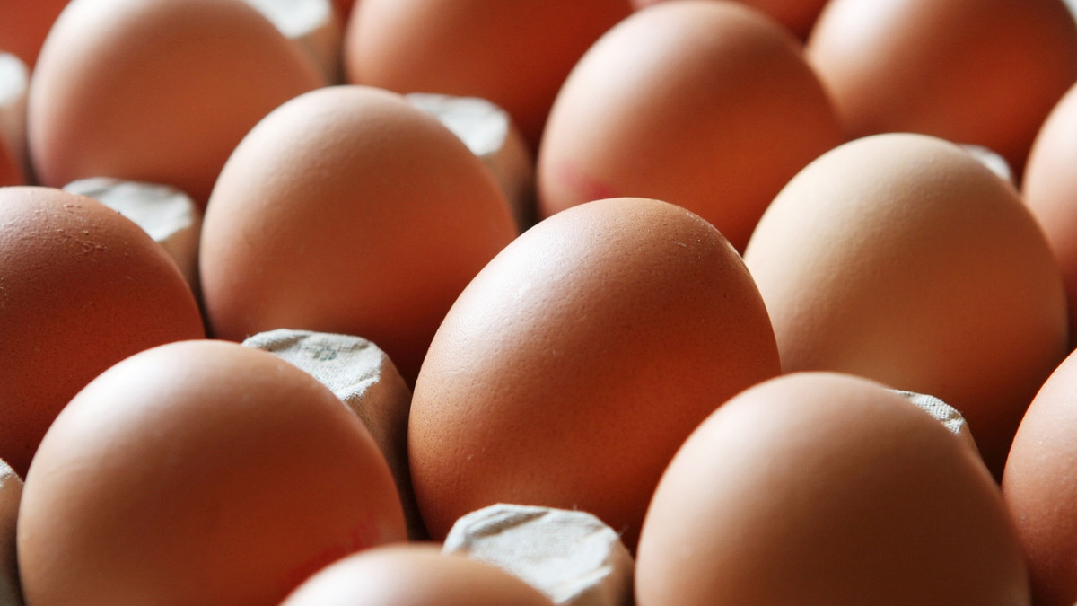 720 Hühnereier in 30 Tagen: Mediziner Nick Norwitz hat das „eggsperiment“ gewagt. - dpa