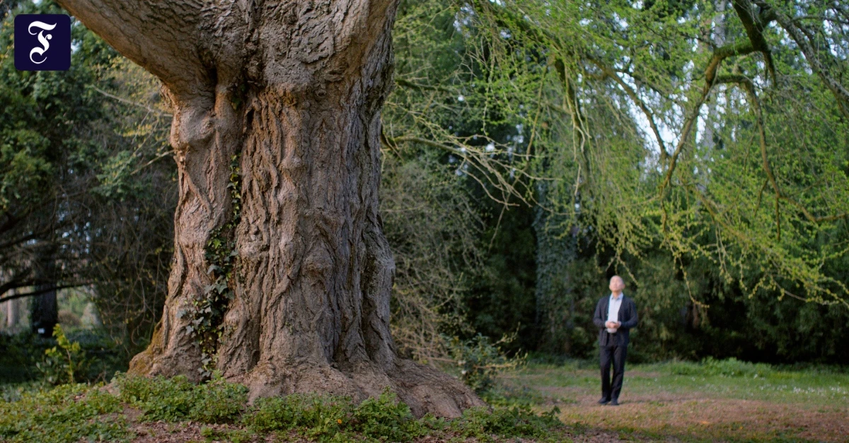 Filmfest-Venedig-Gebt-dem-Baum-bitte-mehr-Raum