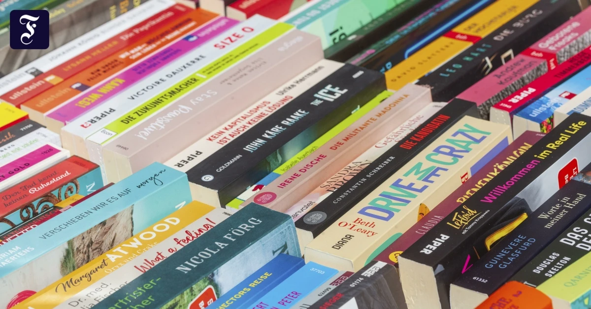Hansers-neue-Taschenbuchreihe-Sch-n-und-g-nstig-geht-das-zusammen-