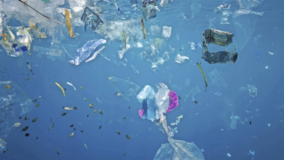 Nachhaltiger Fonds: Wie die Kunden den Ökopionier Ökoworld pushen