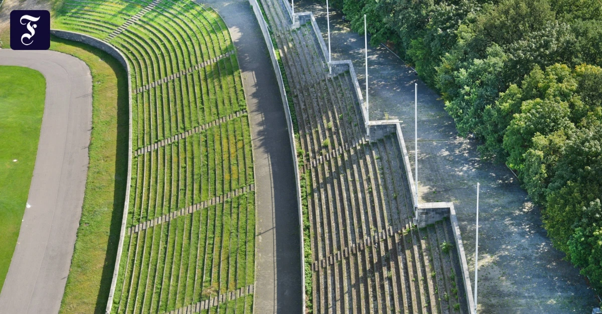 Sportmuseum Berlin: Olympia erlebbar machen