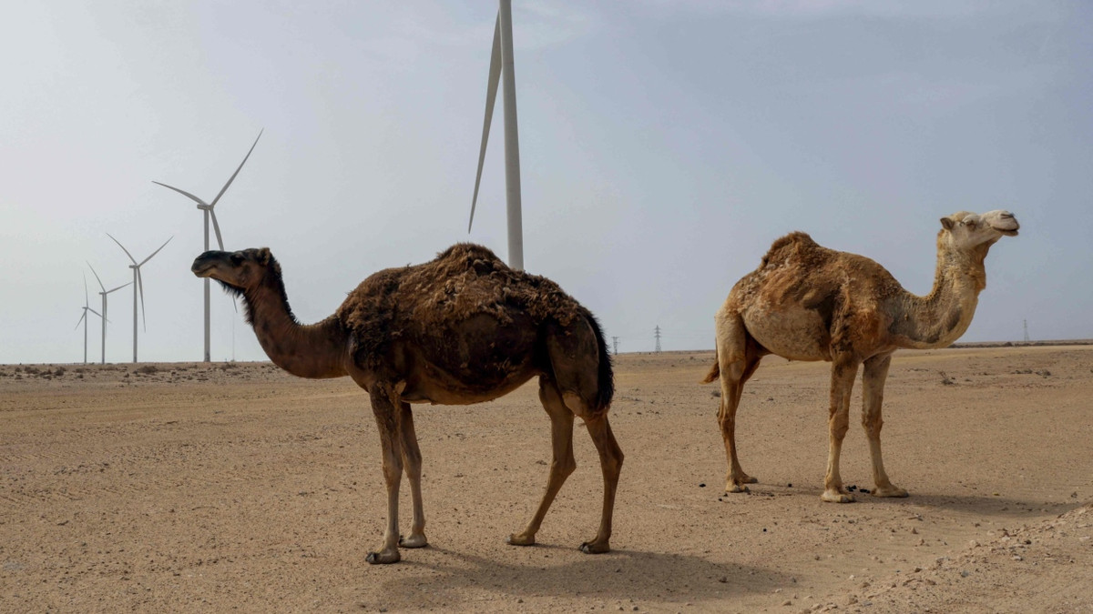 Resolution: UN-Sicherheitsrat: Westsahara sollte Teil von Marokko werden