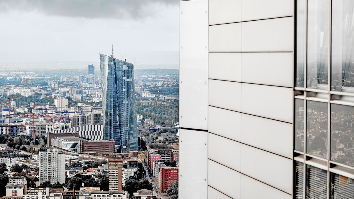 Die Europäische Zentralbank und die nationalen Notenbanken haben zwischen 2015 und 2023 Anleihen für fast fünf Billionen Euro gekauft. - Michael Braunschädel