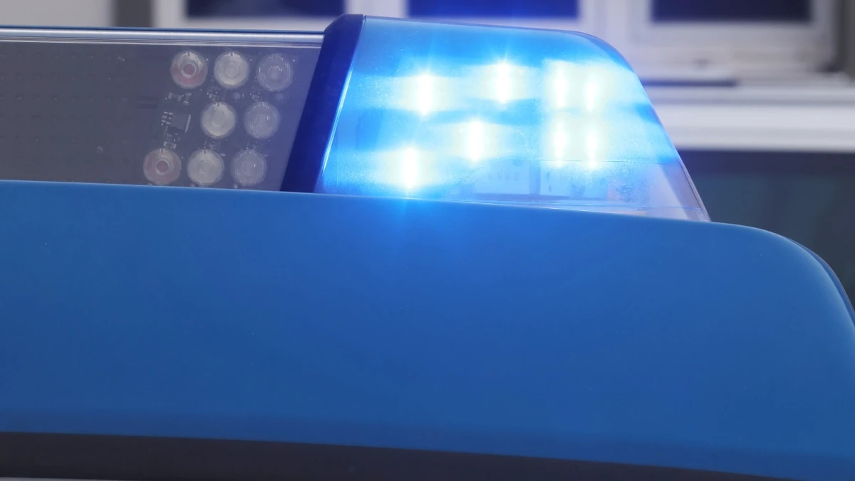 Ein Blaulicht leuchtet auf dem Dach eines Polizeifahrzeugs. (Symbolbild) - dpa