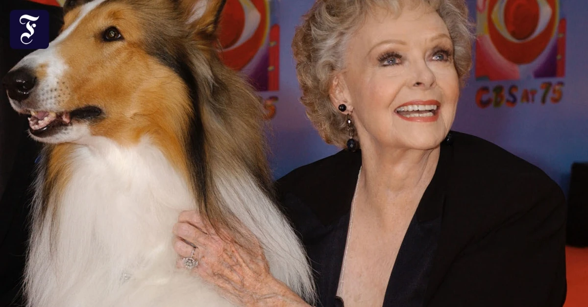Im Alter von 100 Jahren: „Lassie“-Star June Lockhart ist gestorben