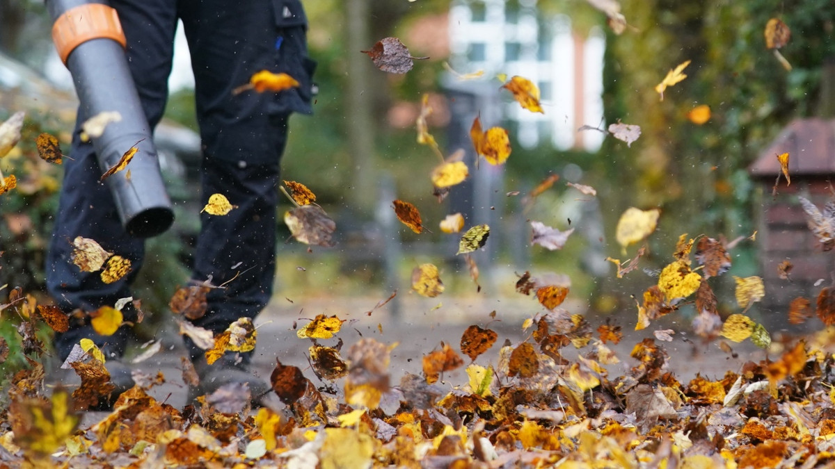 Laubbläser: Schafft endlich die Krachmacher ab!