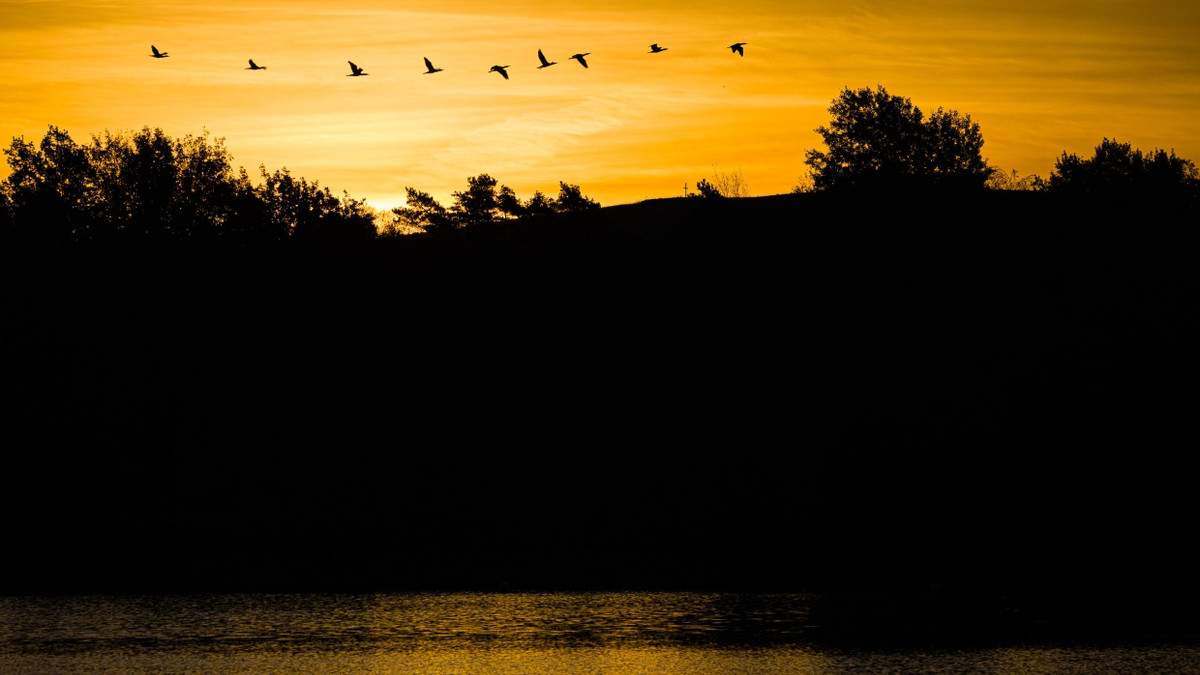Trübsinn im November: Wie Sie der Winterdepression entkommen Trübsinn im November: Wie Sie der Winterdepression entkommen