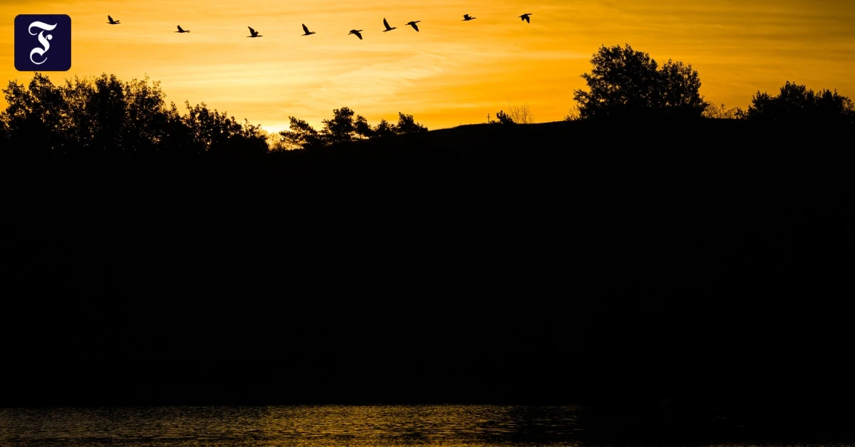 Tr-bsinn-im-November-Wie-Sie-der-Winterdepression-entkommen