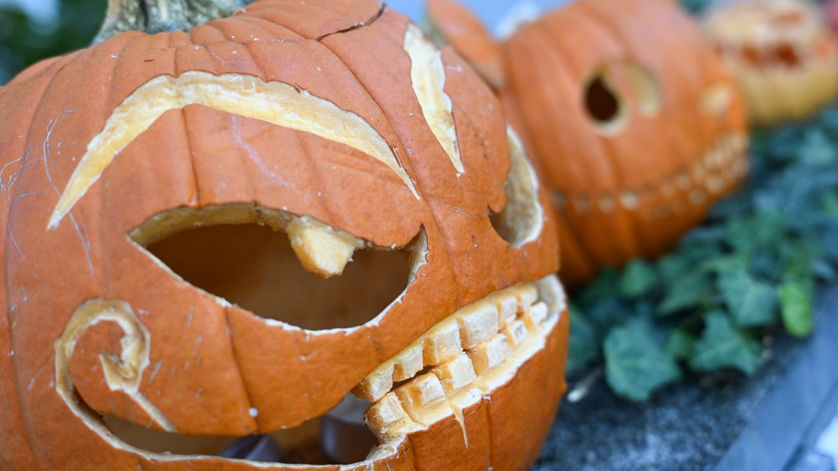 Sieht toll aus, aber schmeckt nicht: der typische Halloween-Kürbis Sorte „Red Fox“. - dpa