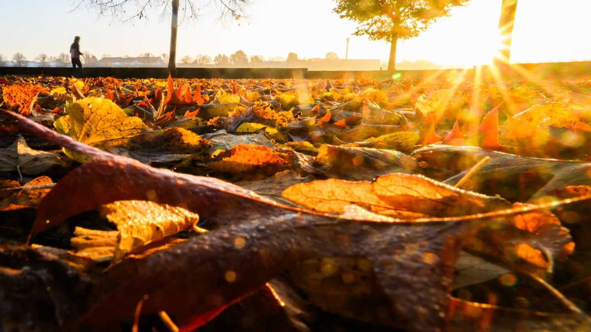 Ein sonniger Herbsttag in Norddeutschland (Symbolbild) - dpa