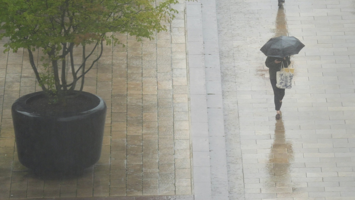 Passanten gehen mit Regenschirmen im strömenden Regen durch die Hamburger Innenstadt. (Archivbild) - dpa