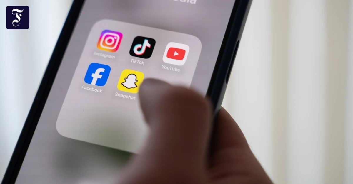 Feeds für junge Nutzer: Social Media bringt AfD und Linkspartei nach vorn