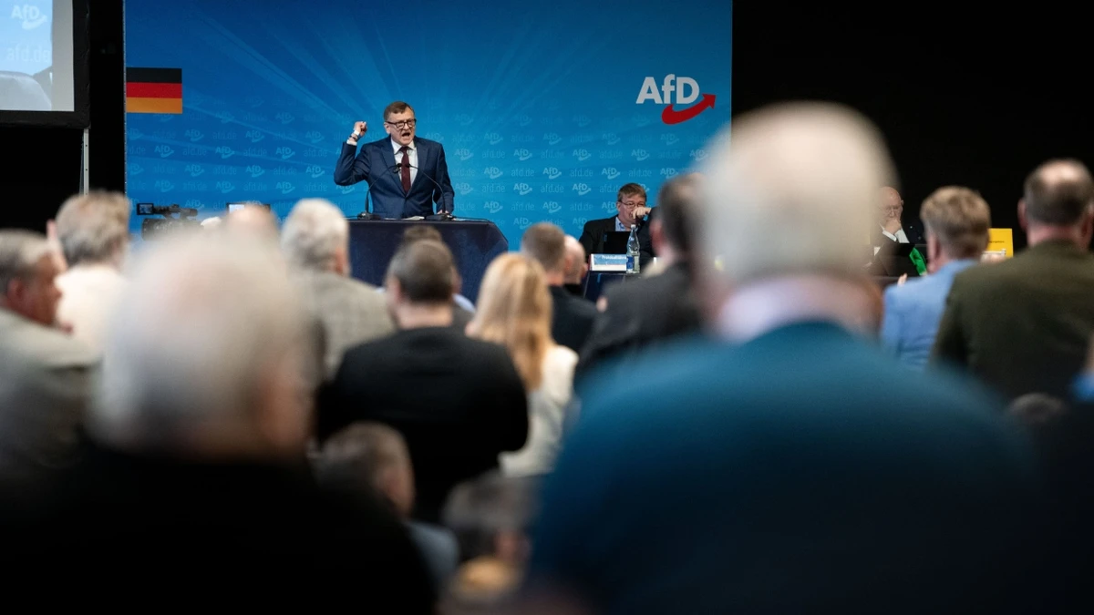 Kommunalwahlen-Analyse: Diese Zahlen spiegeln den Erfolg der AfD