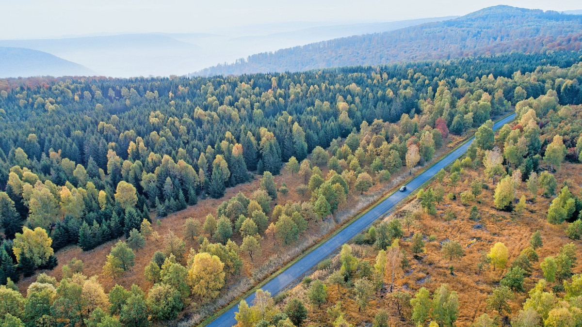 Milliarden für Nachhaltigkeit: Wie der größte Vermögensverwalter der Welt in die Energiewende investiert