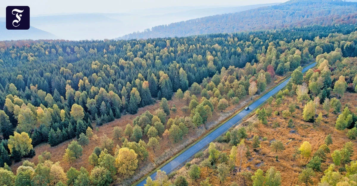 Milliarden-f-r-Nachhaltigkeit-Wie-der-gr-te-Verm-gensverwalter-der-Welt-in-die-Energiewende-investiert