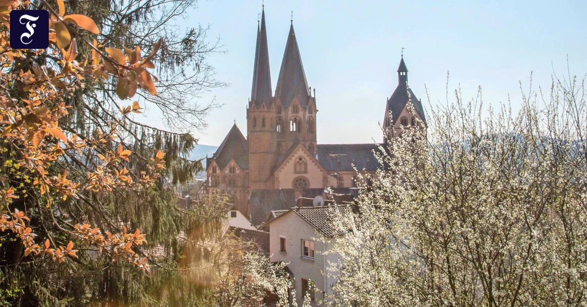 Politische-B-cher-Wo-Deutschland-am-typischsten-w-hlt