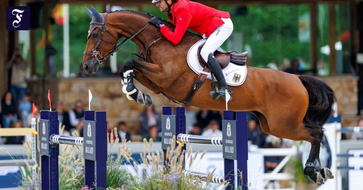 Kommentar zum Pferdesport: Schlecht im Umgang