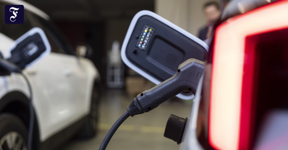 Dynamische Stromtarife: Monopolkommission will eine Happy Hour für den Strom