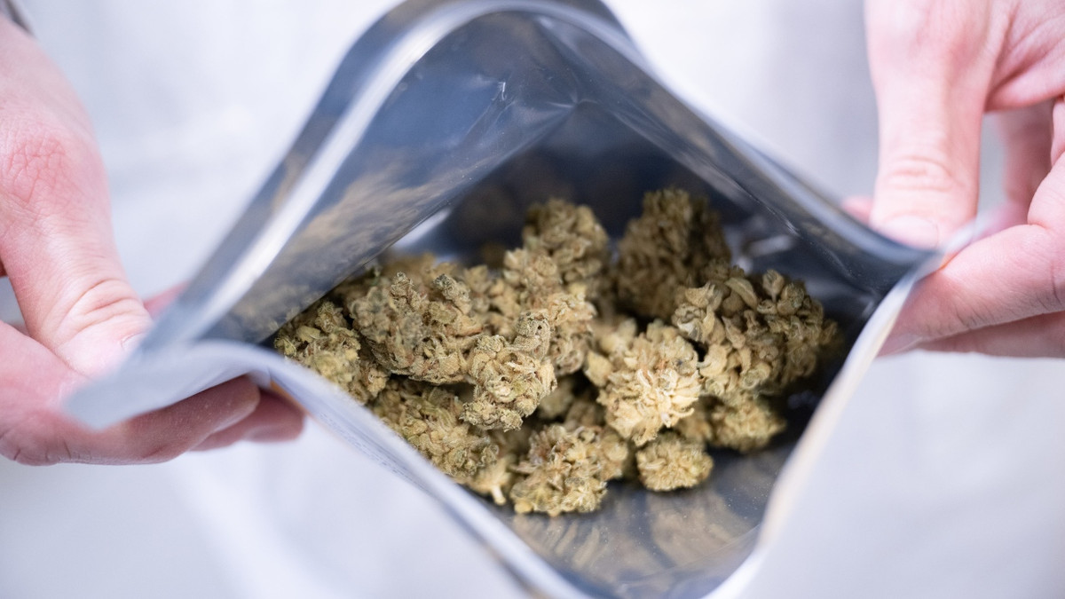 Versandtfertig: Medizinalcannabis - dpa