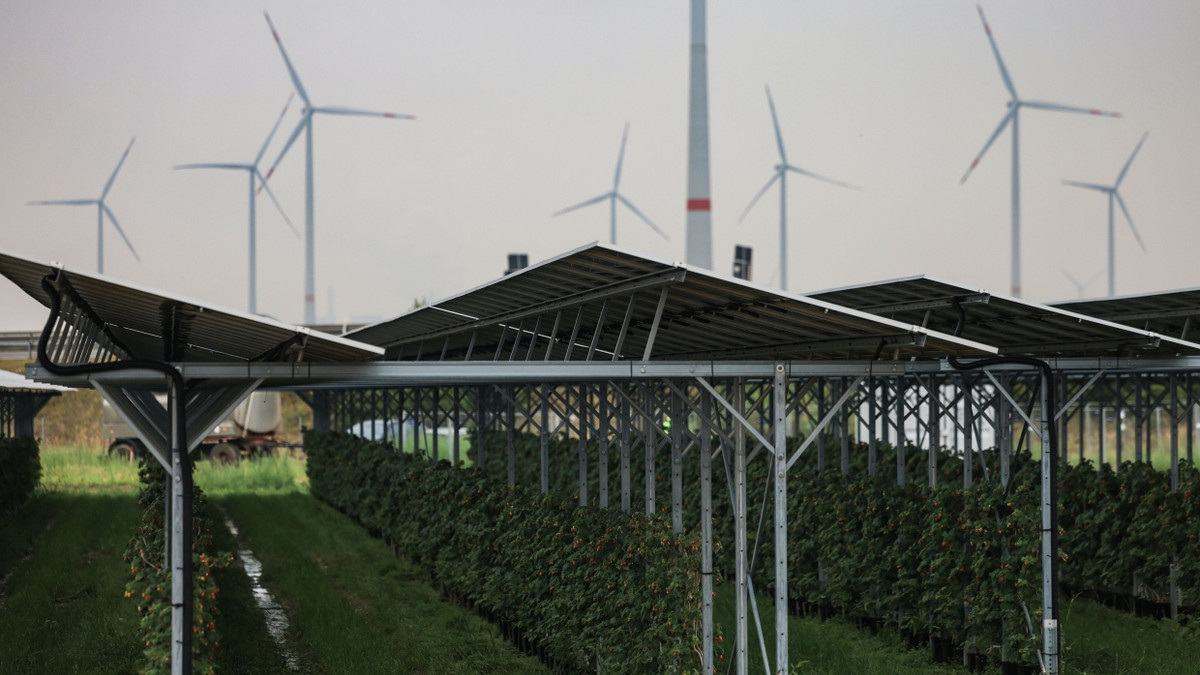 Kursgewinn von 220 Prozent: Wie der KI-Boom Versorger RWE beflügelt Kursgewinn von 220 Prozent: Wie der KI-Boom Versorger RWE beflügelt